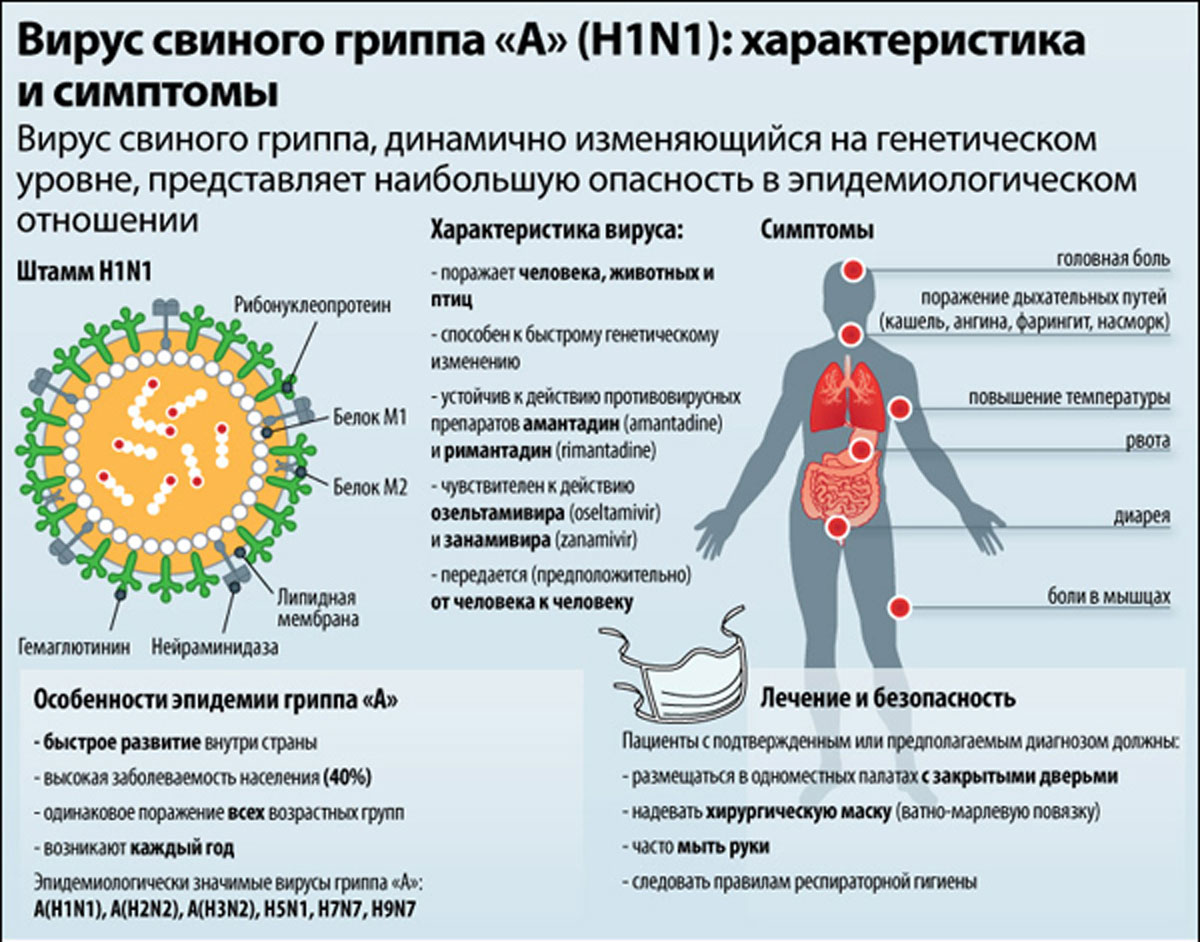Инструкция по применению вакцины от свиного гриппа