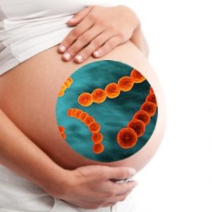 Стрептококк при беременности 18