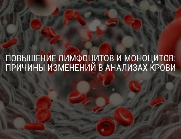 Высокие лимфоциты в крови причины