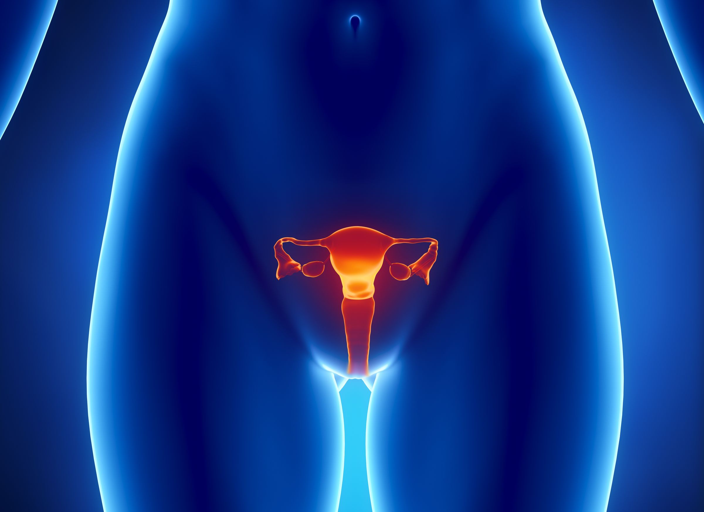 Женские половые органы яичник. Влагалище. Женский половой орган.