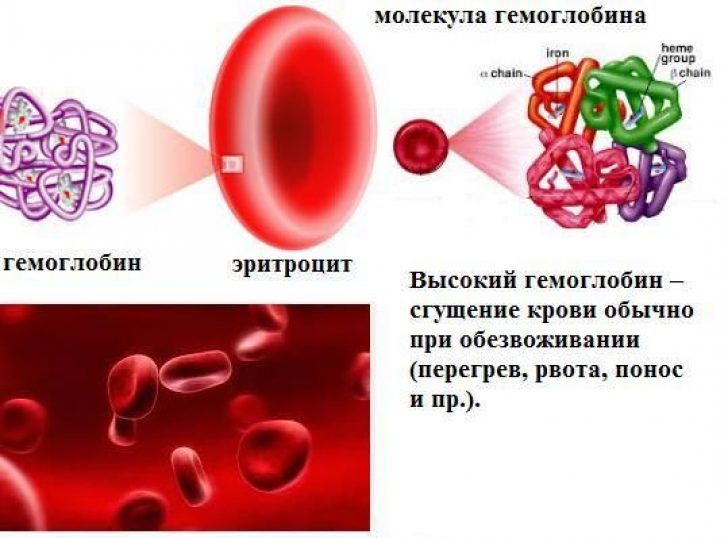 Климакс гемоглобин