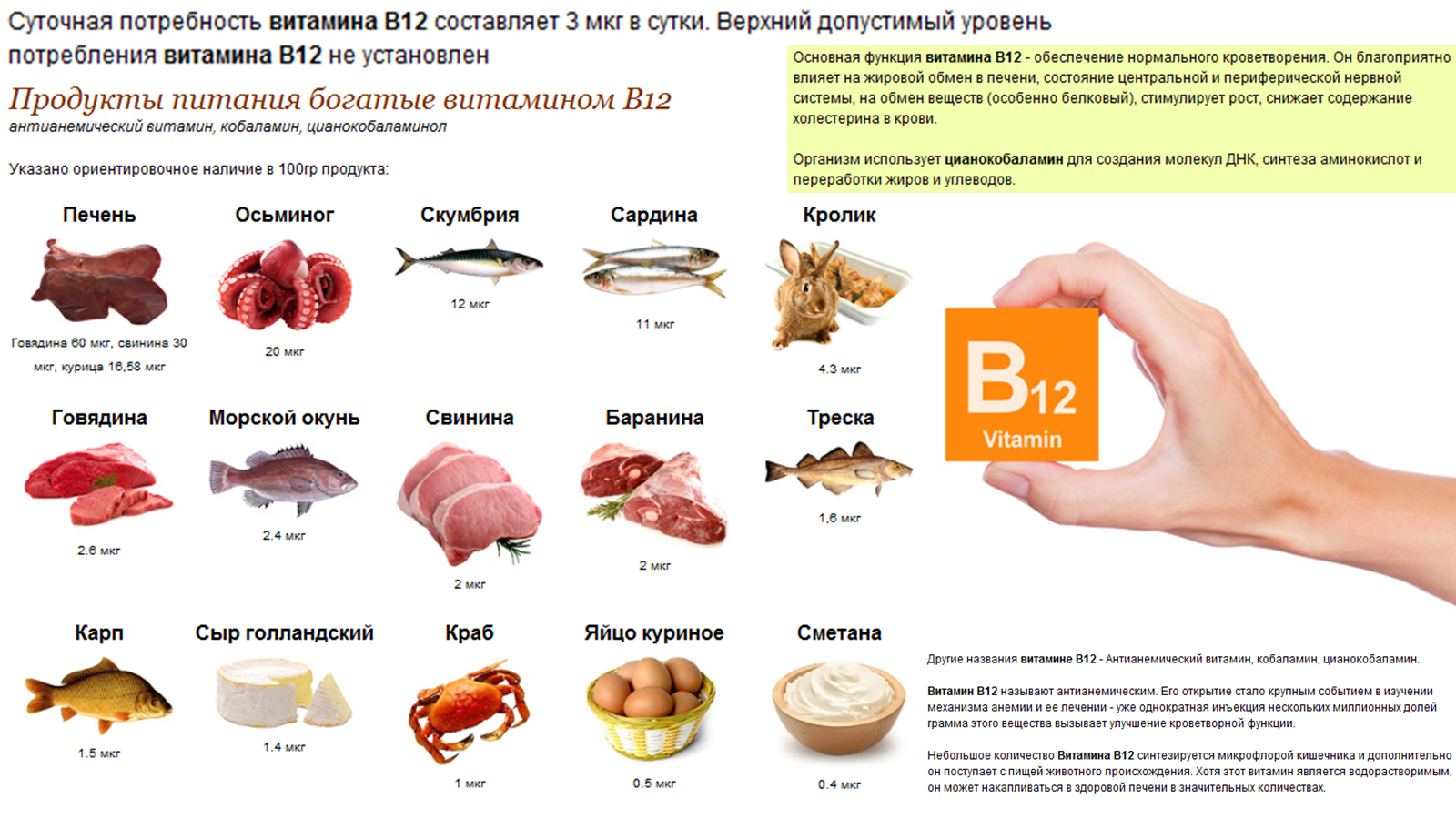 Alimentacion vitamina b12