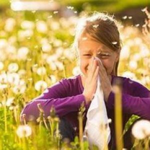 Чем лечить аллергический насморк?