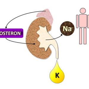 Na-aldosteron-K 