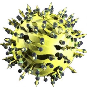 Как отличить вирусный гепатит от лекарственного