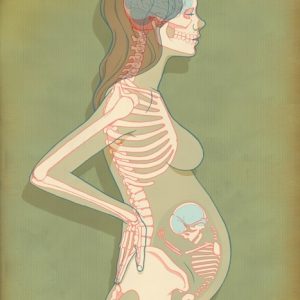 Чем опасен рентген на первых неделях беременности