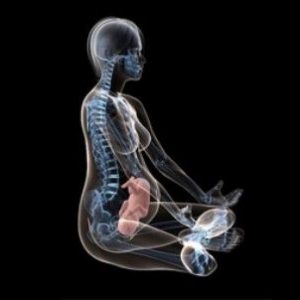 Рентген при беременности на поздних сроках thumbnail