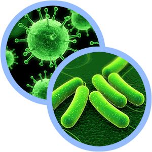 Признаки бактериальной инфекции в анализе крови