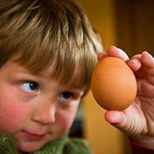 Как определить аллергию на яйца