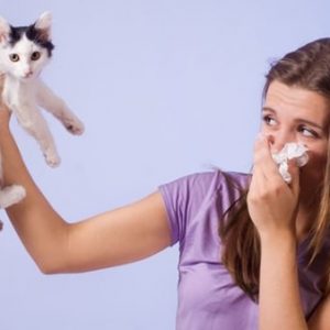 Аллергия домашних животных лечение