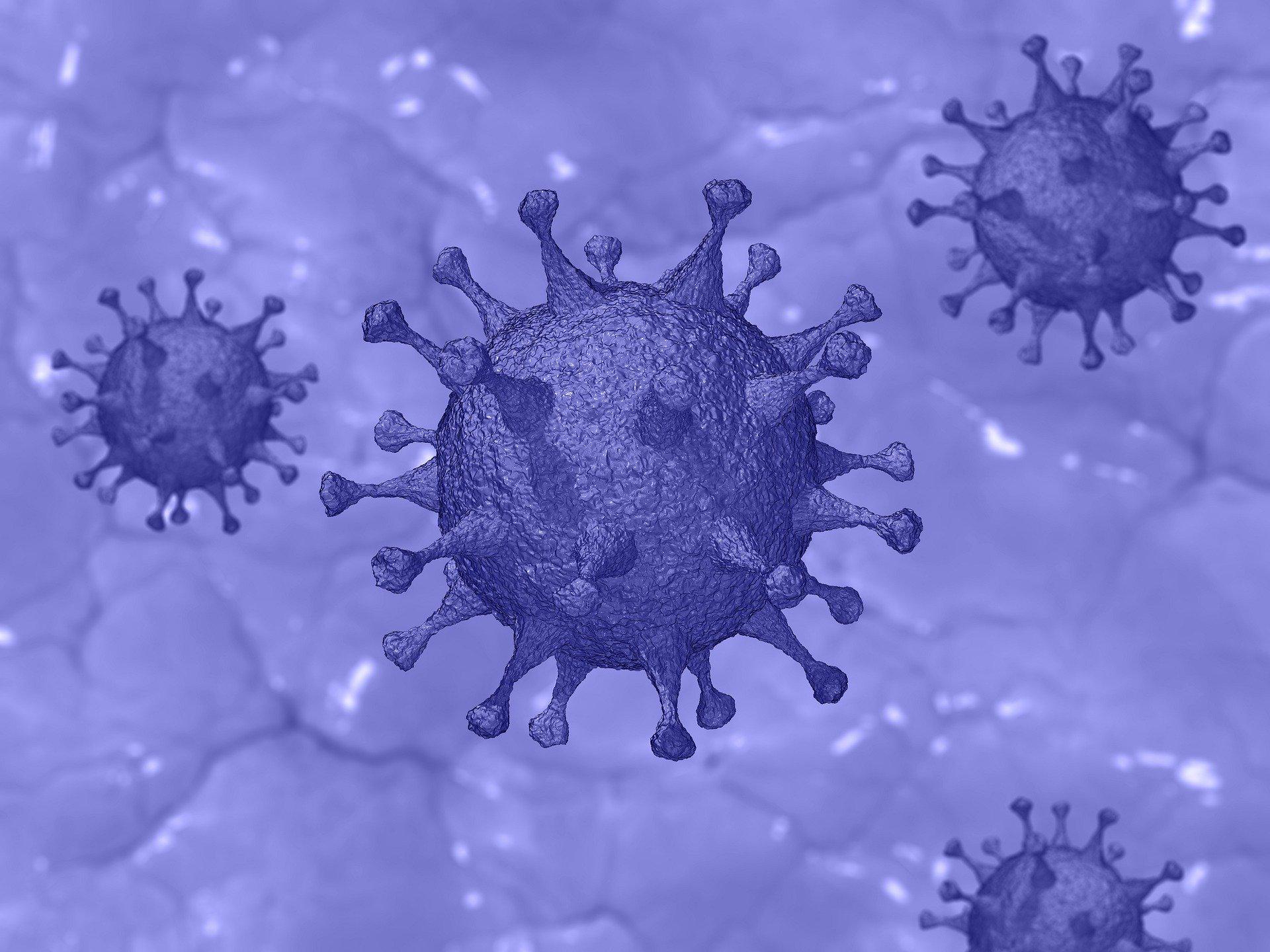 Коронавирус действующее. Ковид coronavirus. Коронавирус это инфекционное заболевание. Вирус ковид 19.